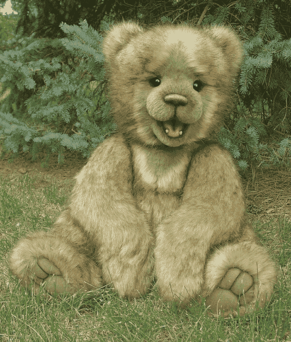 Petit Ours Brun