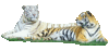 Tigres
